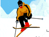 急速スキー