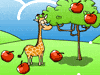 キリン吃苹果