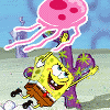 SpongeBo