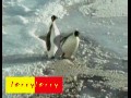 ペンギン悪戯  